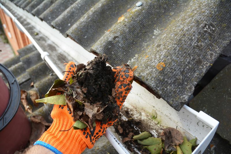 Clean Commercial Gutters