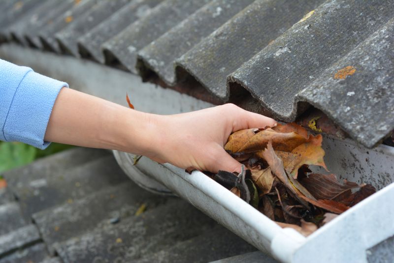 Clogged Gutter